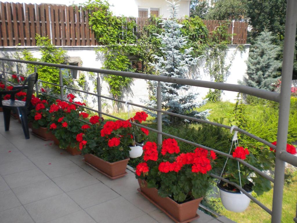 Pension Cluj ภายนอก รูปภาพ